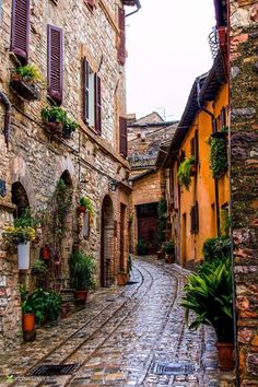 an old cobblestone street with potted plants on either side