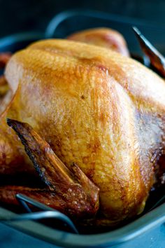 a close up of a roasted turkey in a pan with tongs on the side