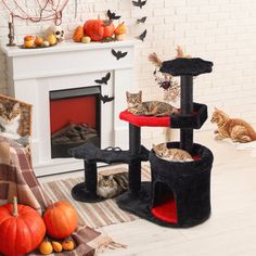 three cats are sitting in front of a fireplace and some pumpkins on the floor