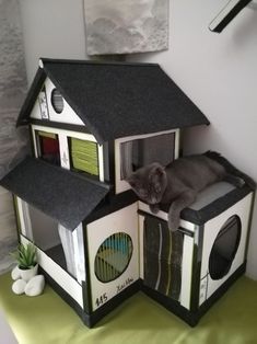 a cat is laying in a doll house