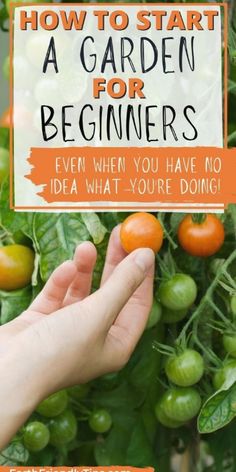 someone holding up a sign that says how to start a garden for beginners even when you have no idea what you're doing