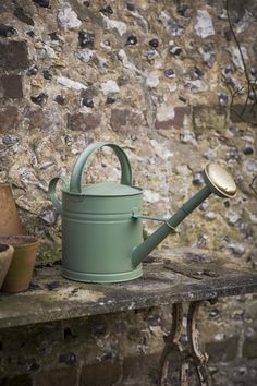 a green watering can sitting on top of a wooden shelf