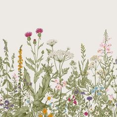 an illustration of wildflowers and other flowers on a white background with green leaves