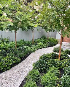 an outdoor garden with gravel paths and trees in the center, surrounded by shrubbery