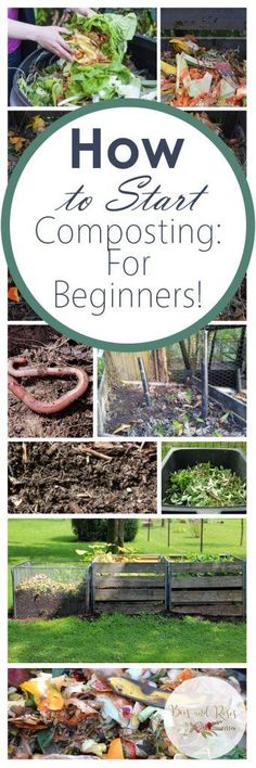 the words how to start composting for beginners on top of pictures of various gardening