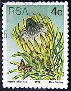 a stamp with an image of a flower on it