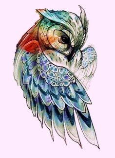 an image of a bird with colorful feathers on it's head and the words, i