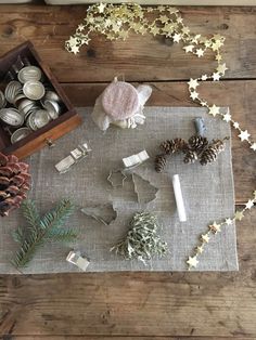 some pine cones and candles on a table