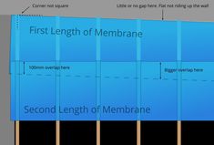 the length of membranes are shown in this diagram