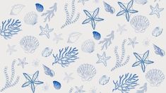 blue and white sea shells and starfish on a light gray background, seamless