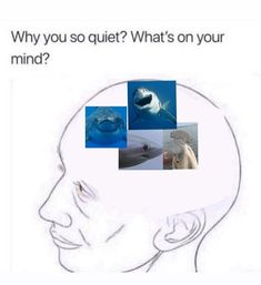 a man's head with pictures of sharks in it and the caption says, why are you so quiet? what's on your mind?