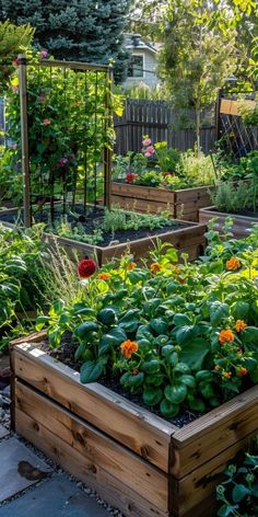 a garden filled with lots of different types of flowers and plants in wooden raised beds