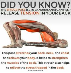 a poster with an image of a man doing push ups on his back and the words did you know?