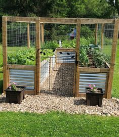 an outdoor garden area with raised beds and plants