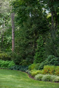 a park bench sitting in the middle of a lush green field with lots of trees