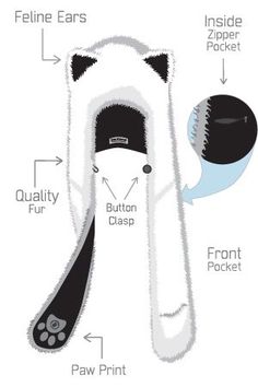 an illustrated diagram of the inside of a cat's tail and its attachments