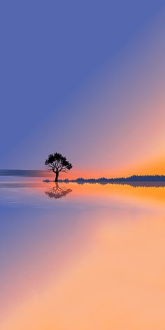 a lone tree sitting in the middle of a body of water at sunset or dawn