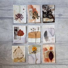 six different leaf paintings are arranged on a wooden surface