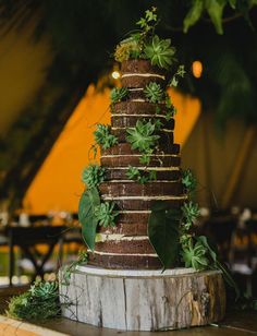 a tall cake with green plants on top is sitting in the middle of a table