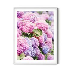 purple and blue flowers with green leaves in the foreground, framed on white wall