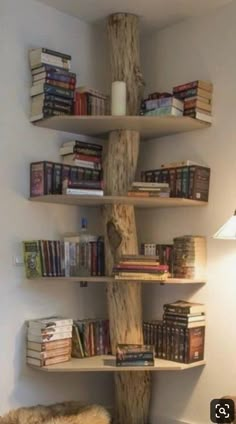 a book shelf with books on it in the corner