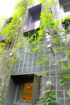 an apartment building with vines growing on it's side