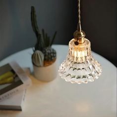 a clear glass hanging light on a table next to a potted cacti