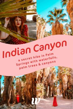 Palm Springs Instagram, Palm Springs Hiking, Palm Springs Bach, Palm Canyon, Palm Desert California, Rv Trips, Palm Springs Hotels, Parker Palm Springs, California Hikes