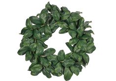 a wreath made out of green leaves on a white background