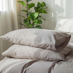 three pillows stacked on top of each other in front of a window with a potted plant