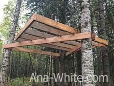 a wooden bench sitting in the middle of a forest