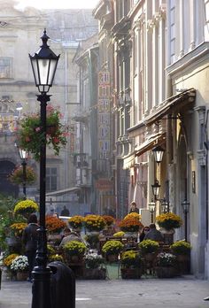 a street light sitting on the side of a road next to flowers and potted plants