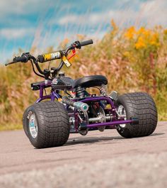 a purple four - wheeled vehicle is parked on the road