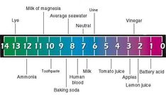 a diagram showing the number of different types of ice creams and how they are made