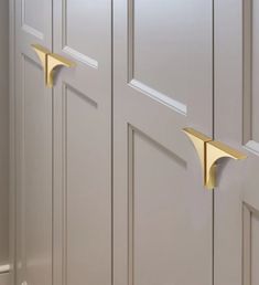 two gold handles on the front doors of a house