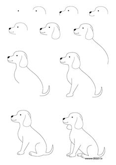 an iphone screen showing how to draw a dog's face and head in different positions