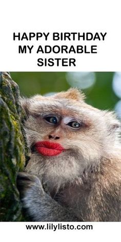 a monkey with red lipstick on it's face and the words happy birthday my adorable sister