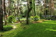 a lush green yard surrounded by trees and bushes