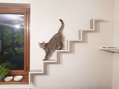 a cat climbing up the side of a set of stairs