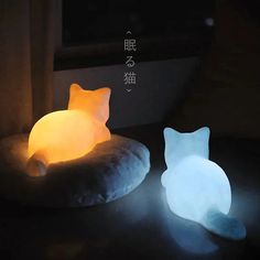 Kawaii Aesthetic Y2K Cute Fairy Sleeping Cat Light MK Kawaii Store Cat Nightlight, Cat Lead, Cat Lamp, Cute Night Lights, Cat Light, Cute Room, Cute Room Decor, Night Lamps, Cartoon Cat