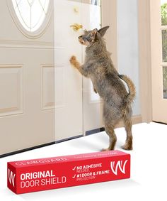 a dog standing on its hind legs in front of a door with an ad for doors shield