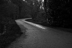 a black and white photo of a road in the woods