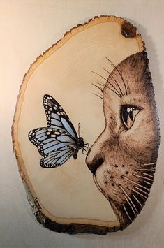 a cat with a butterfly on it's nose is shown next to a piece of wood