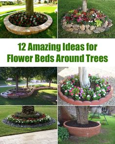 twelve amazing ideas for flower beds around trees