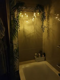 a bath tub sitting under a bathroom mirror next to a plant covered shower curtain with lights on it