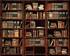 a bookshelf filled with lots of different types of books on top of wooden shelves