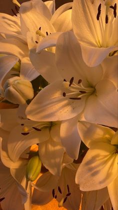 the white flowers are blooming in the vase