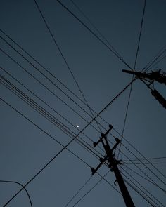 telephone poles and wires with the moon in the background