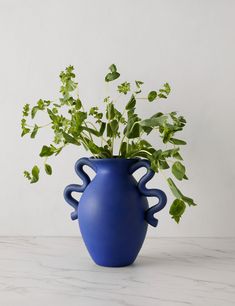 a blue vase filled with green plants on top of a white counter next to a wall