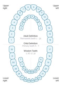 Dental Assisting Study, Dental Assistant Instructor, Dental Charting Symbols, Dental Assistant Study Notes, Dental Tools Names, Dentistry Notes